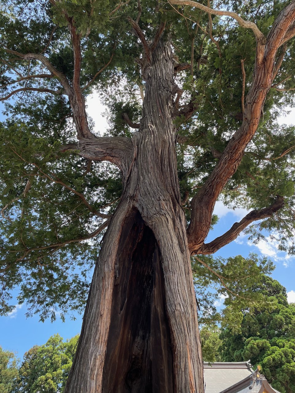 ⛩️ 기타카미 스와 신사 (기타카미 스와진자) 이미지 4